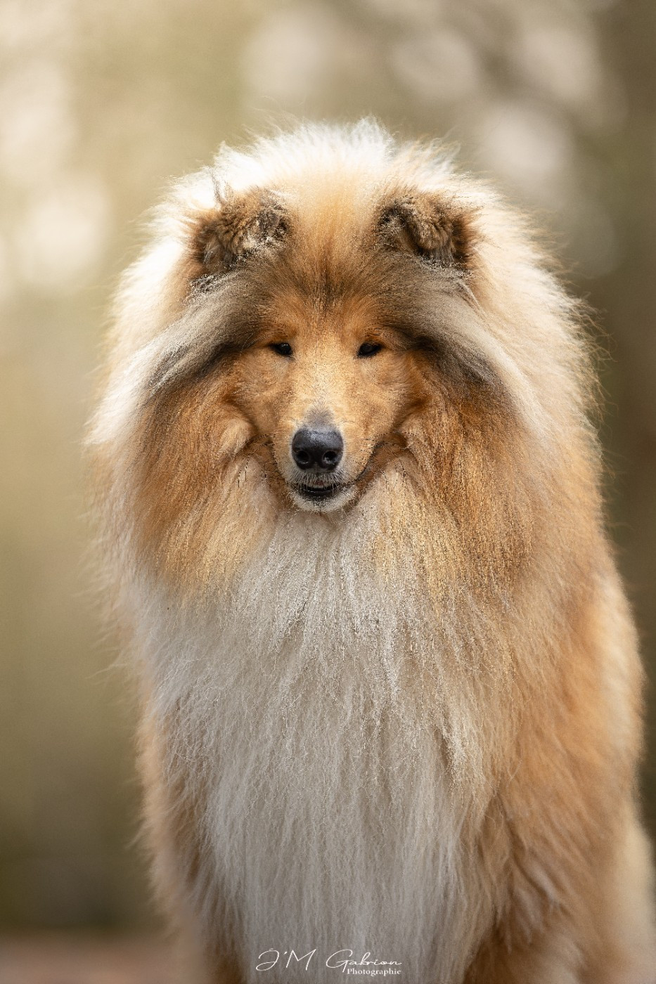 Vador j'adore of River Tweed