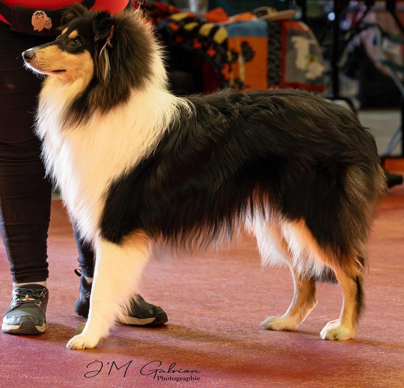 Vinci du domaine des émeraude